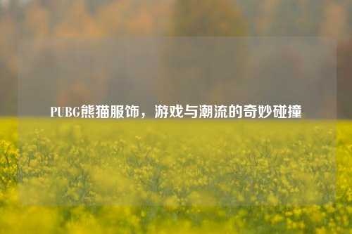 PUBG熊猫服饰，游戏与潮流的奇妙碰撞