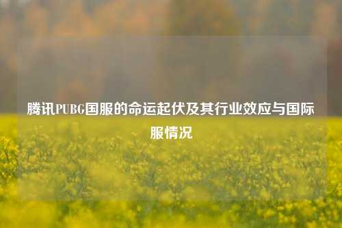 腾讯PUBG国服的命运起伏及其行业效应与国际服情况