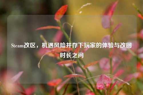 Steam改区，机遇风险并存下玩家的体验与改回时长之问