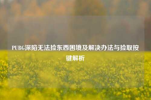PUBG深陷无法捡东西困境及解决办法与捡取按键解析