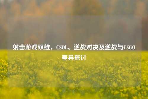 射击游戏双雄,CSOL、逆战对决及逆战与CSGO差异探讨