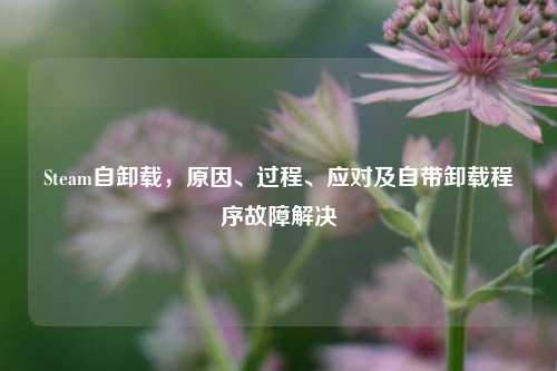 Steam自卸载，原因、过程、应对及自带卸载程序故障解决