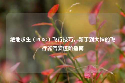 绝地求生（PUBG）飞行技巧，新手到大神的飞行器驾驶进阶指南