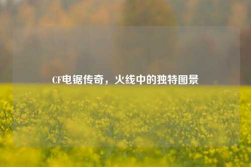 CF电锯传奇,火线中的独特图景