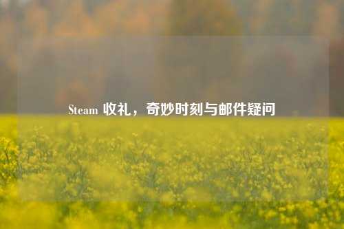Steam 收礼,奇妙时刻与邮件疑问