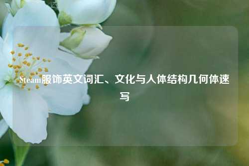 Steam服饰英文词汇、文化与人体结构几何体速写