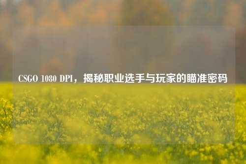 CSGO 1080 DPI，揭秘职业选手与玩家的瞄准密码
