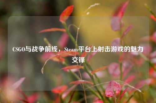 CSGO与战争前线，Steam平台上射击游戏的魅力交锋