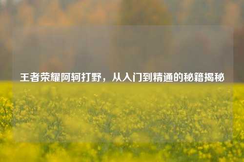 王者荣耀阿轲打野，从入门到精通的秘籍揭秘