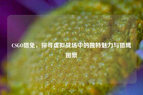 CSGO猎兔，探寻虚拟战场中的独特魅力与猎鹰图景