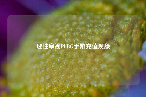 理性审视PUBG手游充值现象