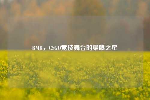 RMR,CSGO竞技舞台的耀眼之星