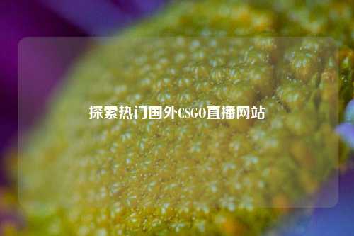探索热门国外CSGO直播网站