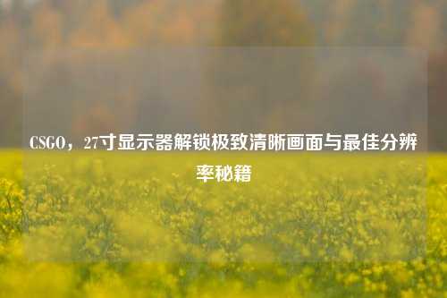 CSGO，27寸显示器解锁极致清晰画面与最佳分辨率秘籍