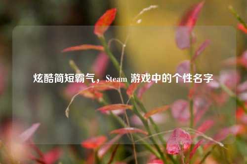 炫酷简短霸气，Steam 游戏中的个性名字