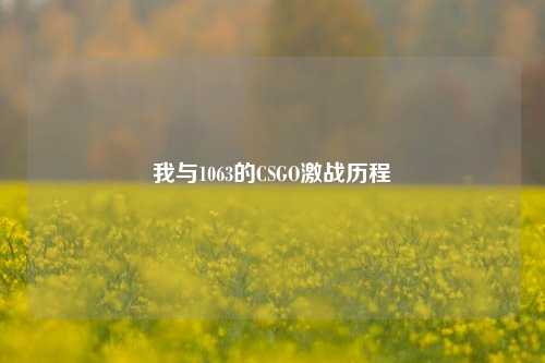 我与1063的CSGO激战历程