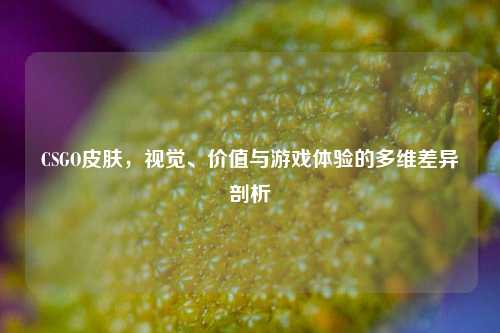 CSGO皮肤，视觉、价值与游戏体验的多维差异剖析