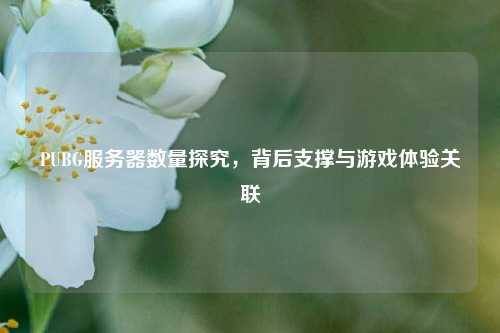 PUBG服务器数量探究，背后支撑与游戏体验关联