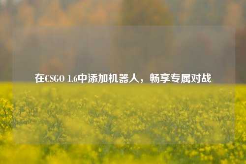 在CSGO 1.6中添加机器人，畅享专属对战