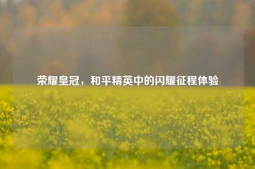 荣耀皇冠，和平精英中的闪耀征程体验