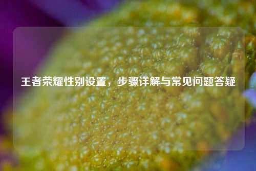 王者荣耀性别设置,步骤详解与常见问题答疑