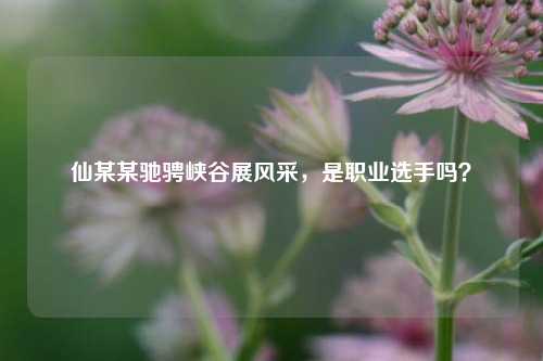 仙某某驰骋峡谷展风采，是职业选手吗？
