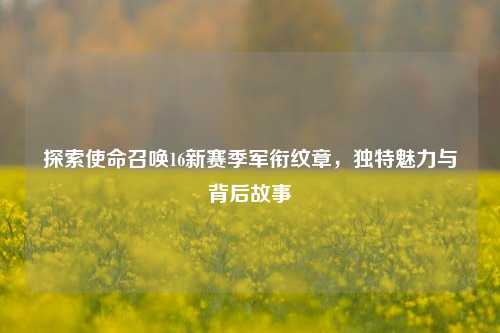 探索使命召唤16新赛季军衔纹章，独特魅力与背后故事