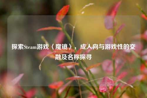 探索Steam游戏〈魔镜〉，成人向与游戏性的交融及名称探寻