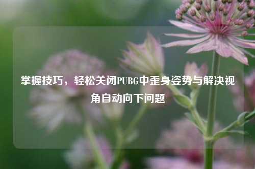 掌握技巧，轻松关闭PUBG中歪身姿势与解决视角自动向下问题