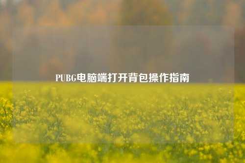 PUBG电脑端打开背包操作指南