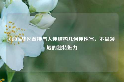 COD16战区双持与人体结构几何体速写,不同领域的独特魅力