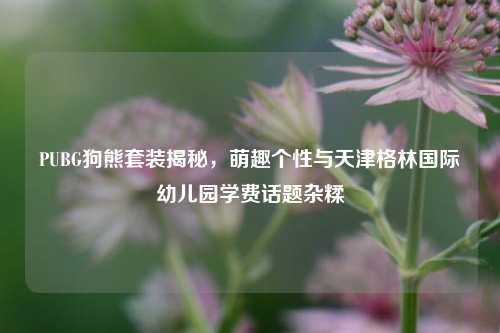 PUBG狗熊套装揭秘,萌趣个性与天津格林国际幼儿园学费话题杂糅