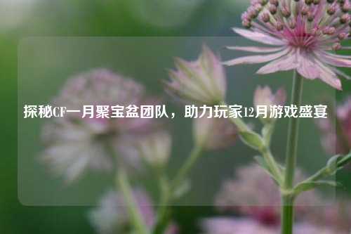 探秘CF一月聚宝盆团队，助力玩家12月游戏盛宴