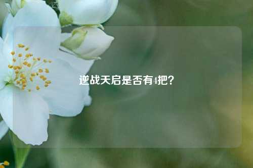 逆战天启是否有4把？