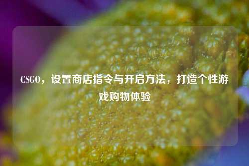 CSGO，设置商店指令与开启方法，打造个性游戏购物体验