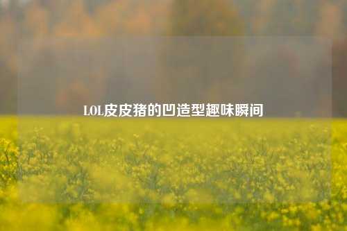 LOL皮皮猪的凹造型趣味瞬间