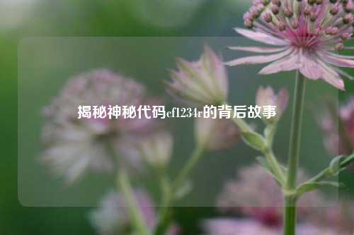揭秘神秘代码cf1234r的背后故事