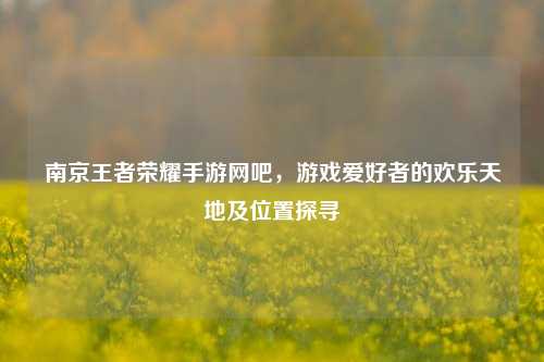 南京王者荣耀手游网吧，游戏爱好者的欢乐天地及位置探寻