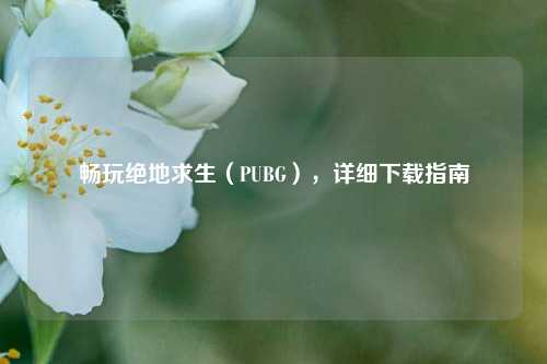 畅玩绝地求生（PUBG），详细下载指南