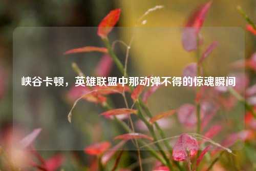 峡谷卡顿，英雄联盟中那动弹不得的惊魂瞬间