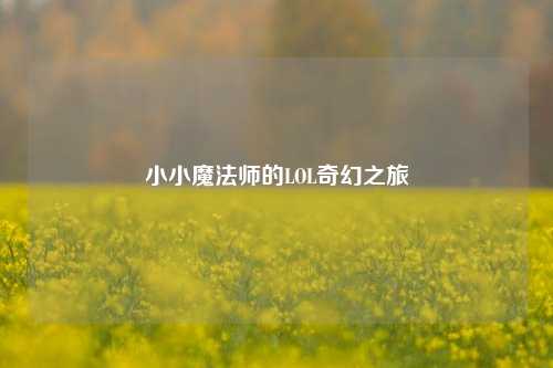 小小魔法师的LOL奇幻之旅