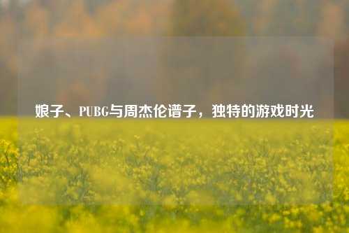 娘子、PUBG与周杰伦谱子,独特的游戏时光