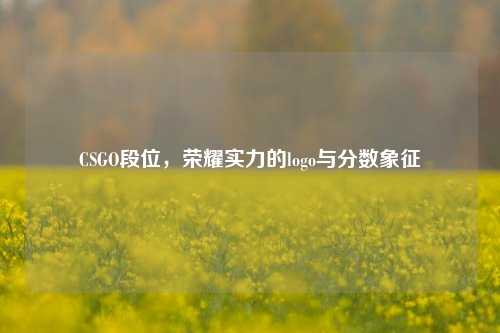 CSGO段位，荣耀实力的logo与分数象征