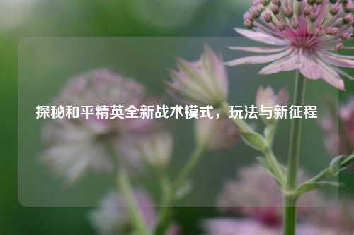 探秘和平精英全新战术模式，玩法与新征程