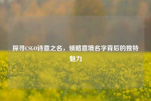 探寻CSGO诗意之名，领略意境名字背后的独特魅力