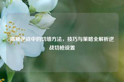 揭秘逆战中的切墙方法，技巧与策略全解析逆战切枪设置