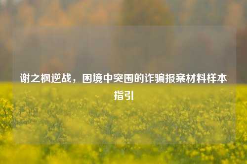 谢之枫逆战，困境中突围的诈骗报案材料样本指引