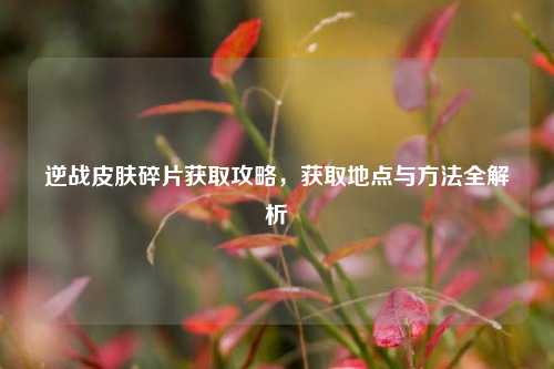 逆战皮肤碎片获取攻略，获取地点与方法全解析