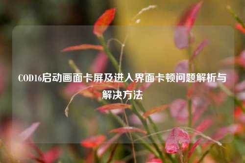 COD16启动画面卡屏及进入界面卡顿问题解析与解决方法