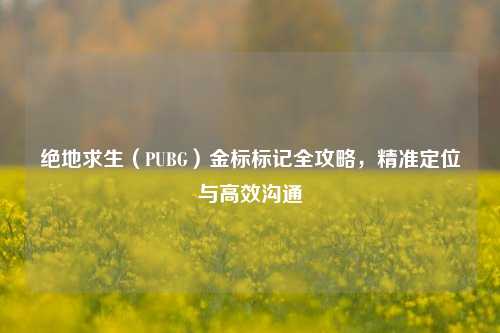 绝地求生（PUBG）金标标记全攻略，精准定位与高效沟通